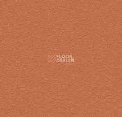 Линолеум Forbo Bulletin Board 2207 cinnamon bark фото 1 | FLOORDEALER